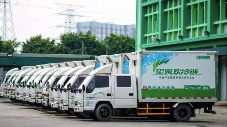 谁来搬走冷链物流头上的三座大山