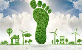 减少碳足迹，共谋绿色可持续发展——SGB与您共创低碳未来