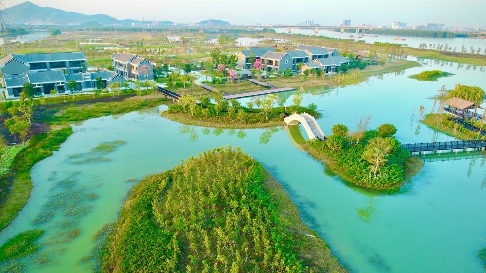 图片3.广东中山翠亨国家湿地公园项目：保护修复湿地生态，释放绿色低碳生态红利(1).jpg