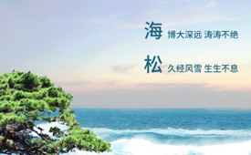 CFS第十三届财经峰会7月北京举办 候选品牌：​海松资本