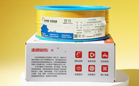 中国消费创新大会推动品质升级 携手远东电气引领消费新时代