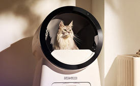 中国消费创新大会推动品质升级 携手CATLINK引领消费新时代