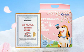 中国消费创新大会推动品质升级 携手扬爪引领消费新时代