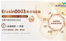 第六届国际科创节聚焦科技创新 携手维琪科技共创数智未来