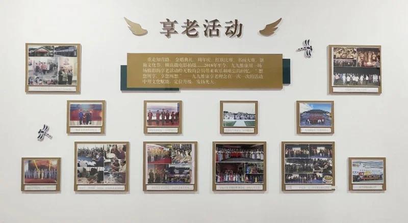 九九维康1.jpg