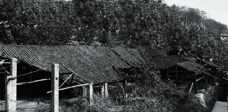 1760494797229714.jpg 习酒1.jpg