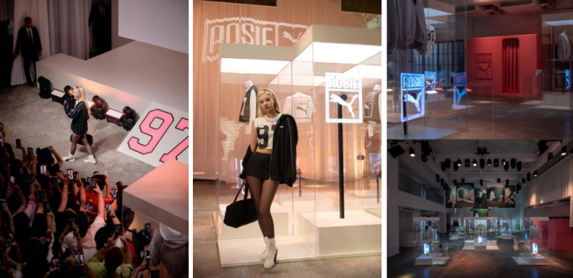 1761898836159337.png 彪马1.png