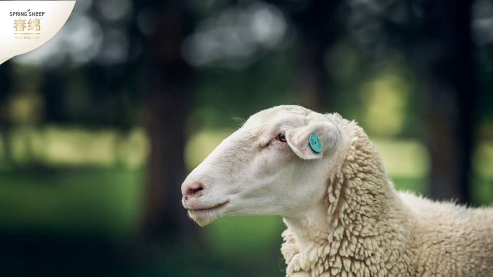 1762842947435293.jpg 3.jpg