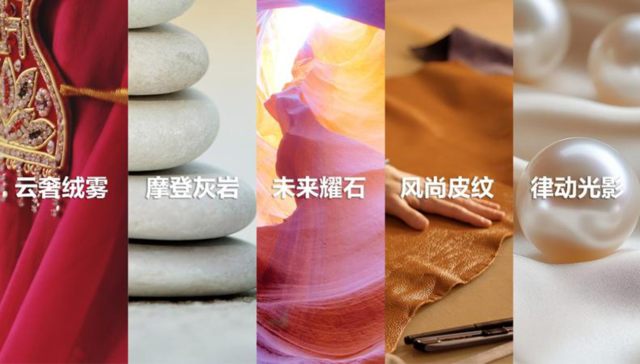 1785902292187101.jpg 多乐士4.jpg